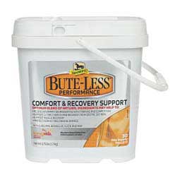 Bute-Less Performance for Horses  Absorbine